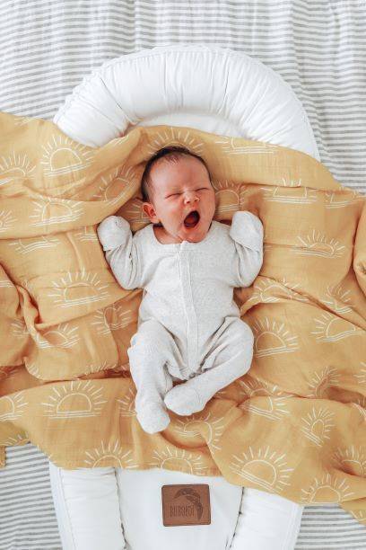 Buy Organic Baby Nest - White by Bubnest
